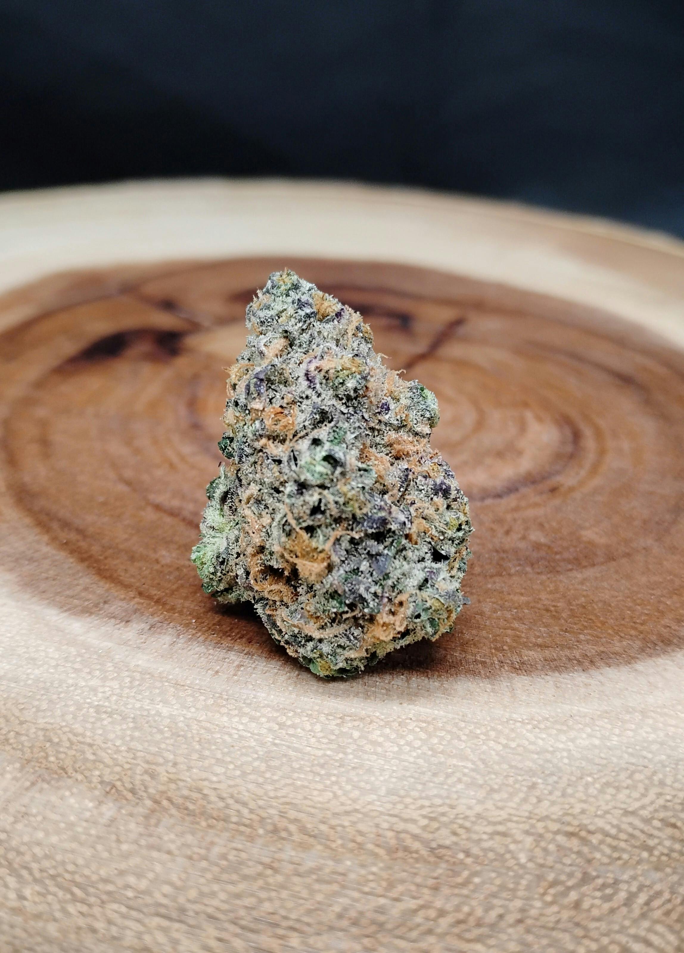 Dakota Gelato at True North Dispensary