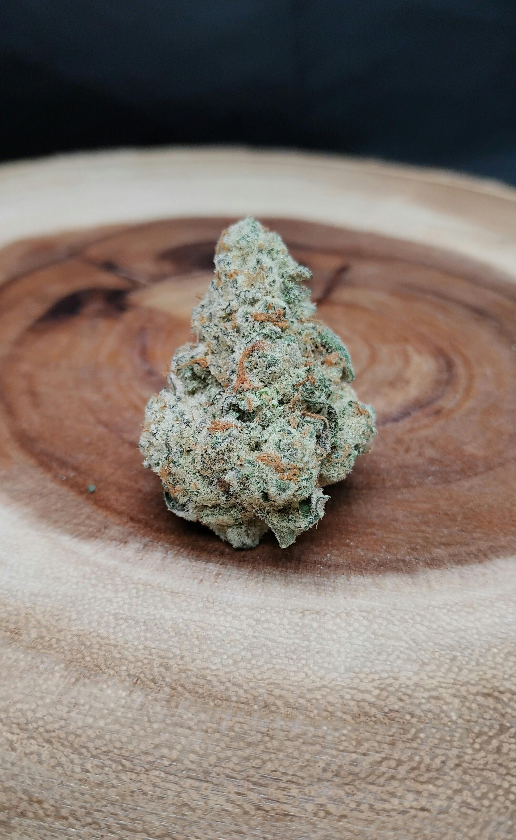 Strawberry Dandy #7 at True North Dispensary