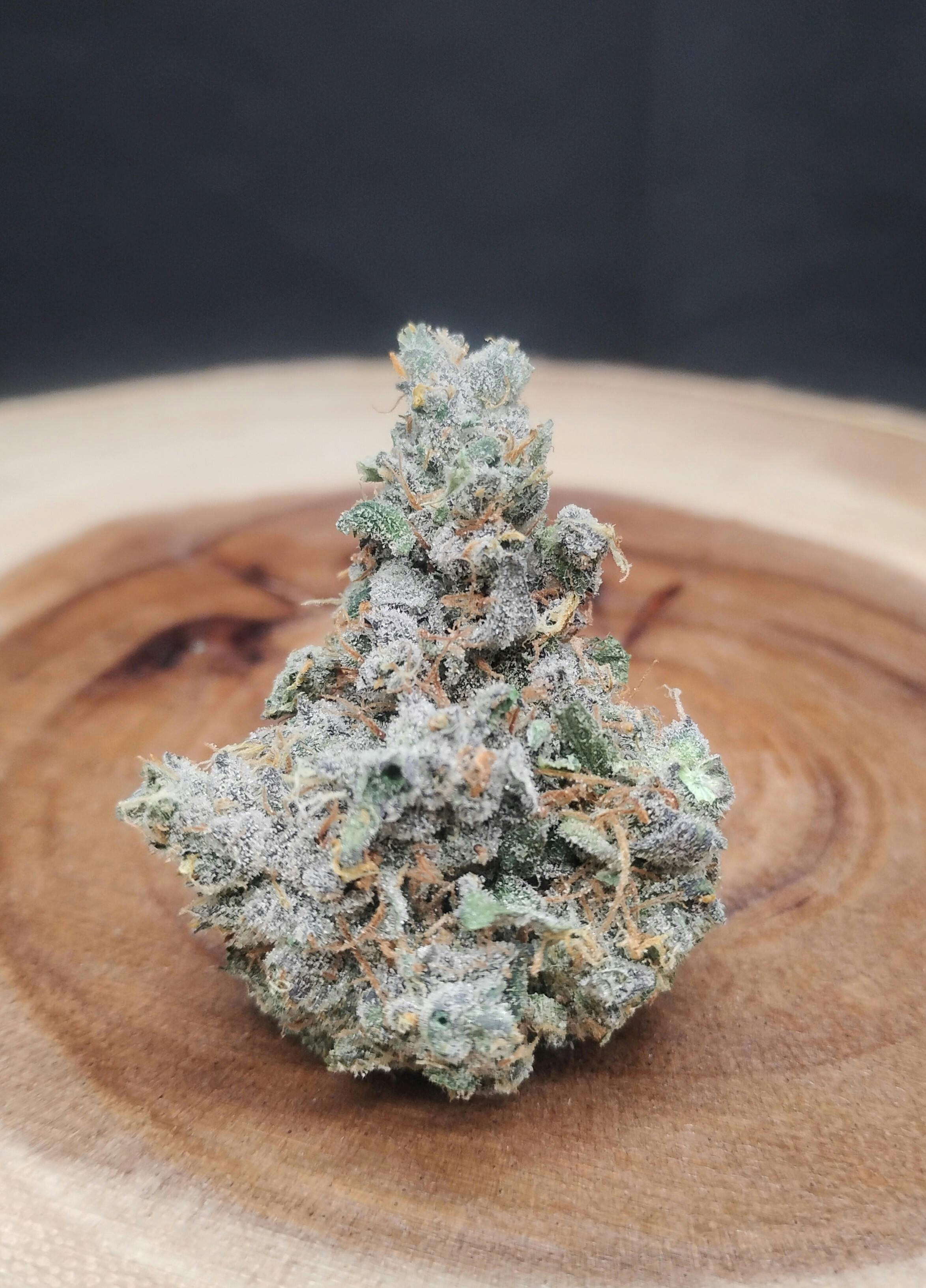 Cosmic Zkittles at True North Dispensary