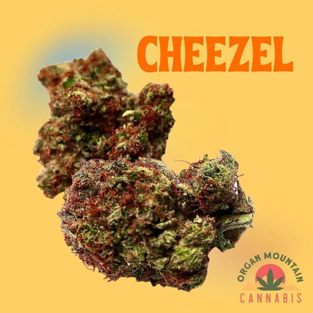 Omc Cheezel