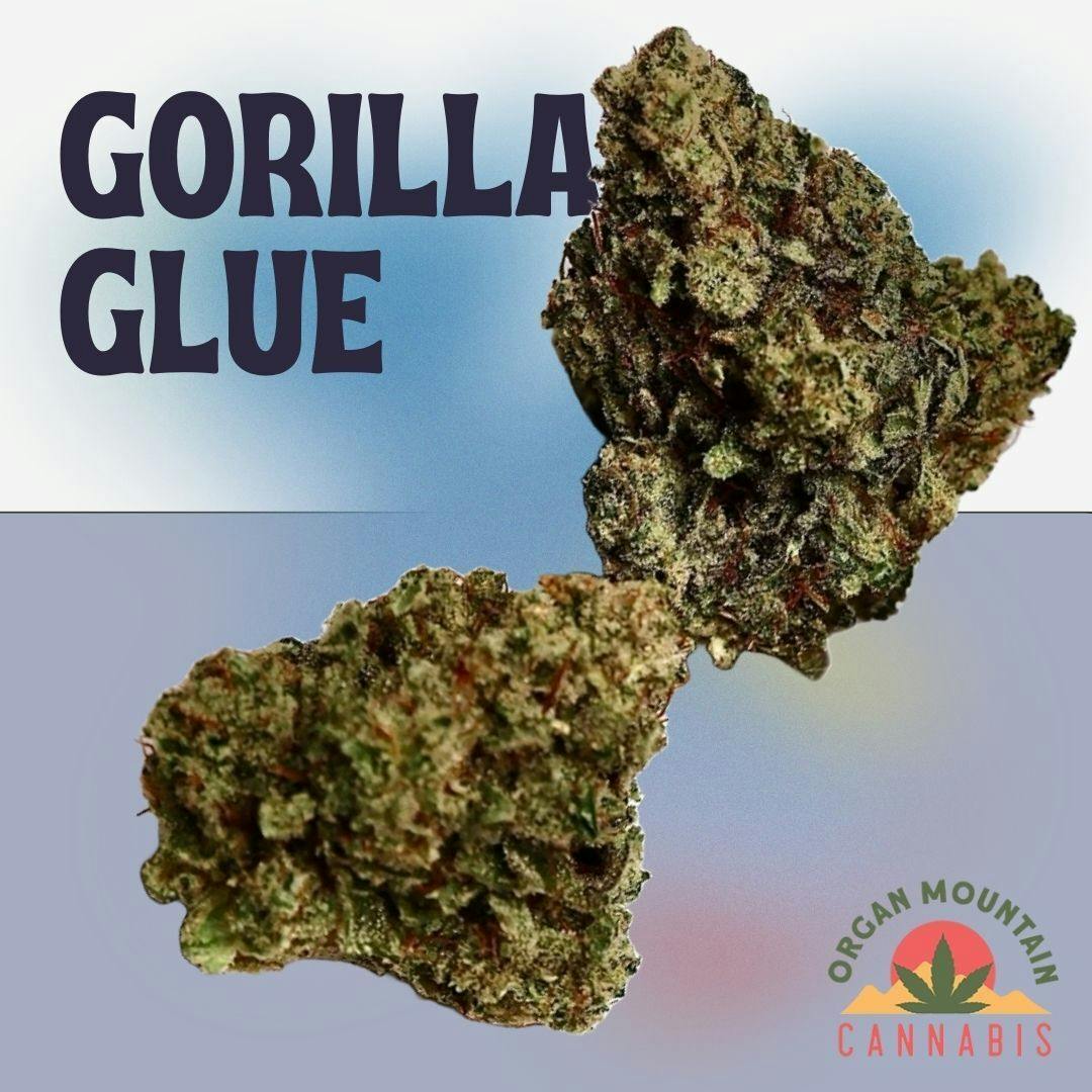 OMC - Gorilla Glue (H) - 1g - Pre Roll