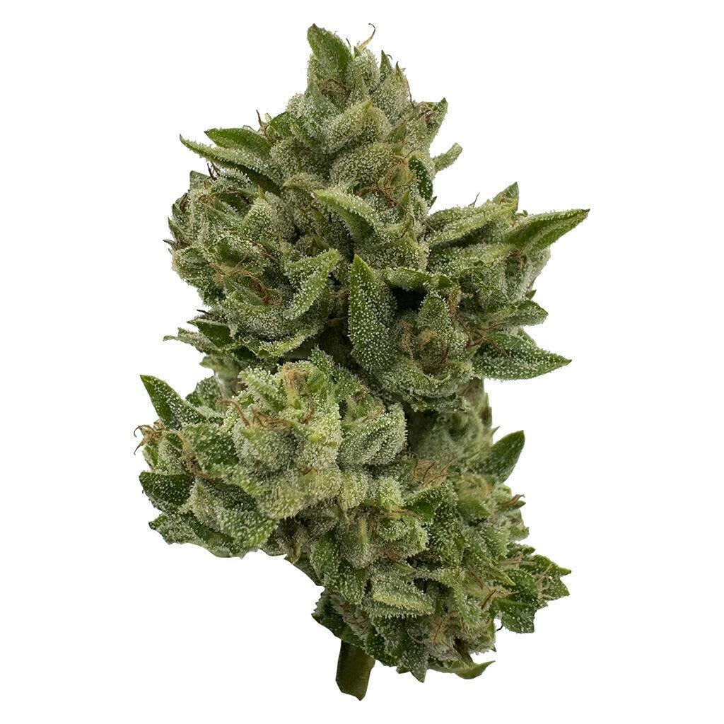 Pretty Sweet Sativa 28g Dried Flower