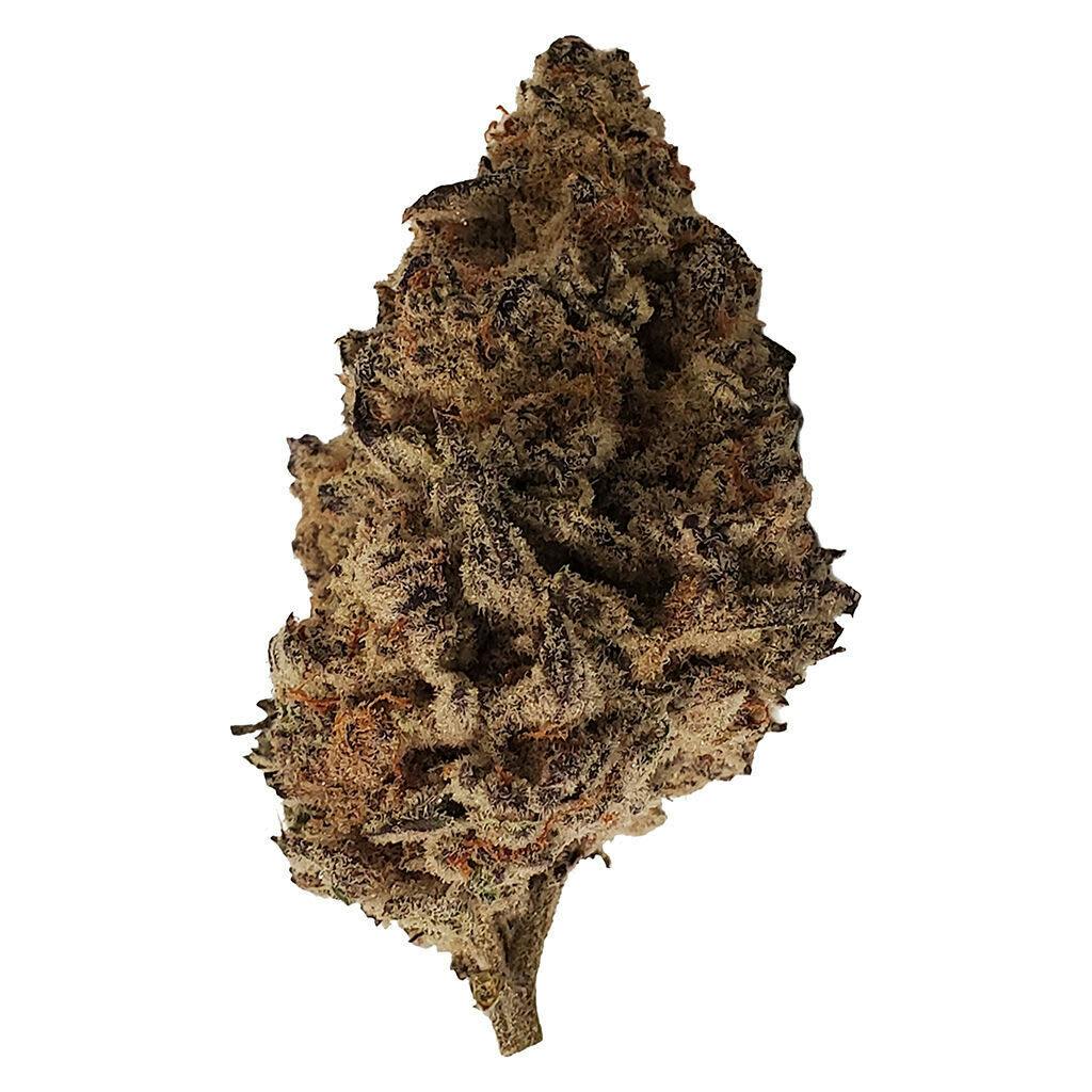 Dante’s Inferno 28g Dried Flower