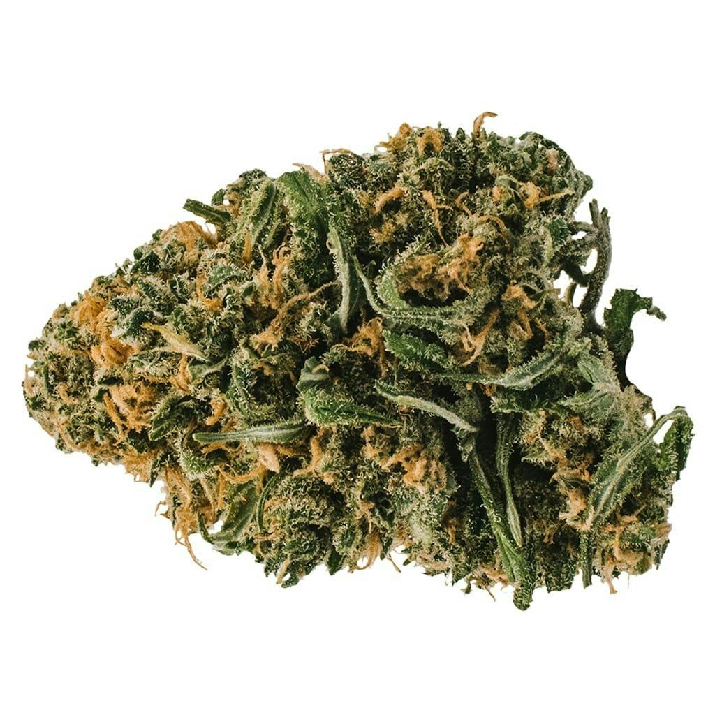Animal Rntz 3.5g