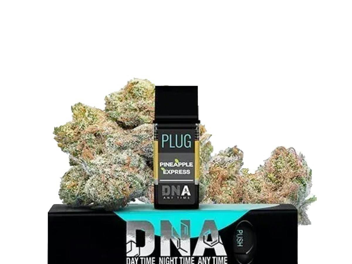 VAPE - 1g PLUG™ DNA: Pineapple Express by PLUGPLAY™
