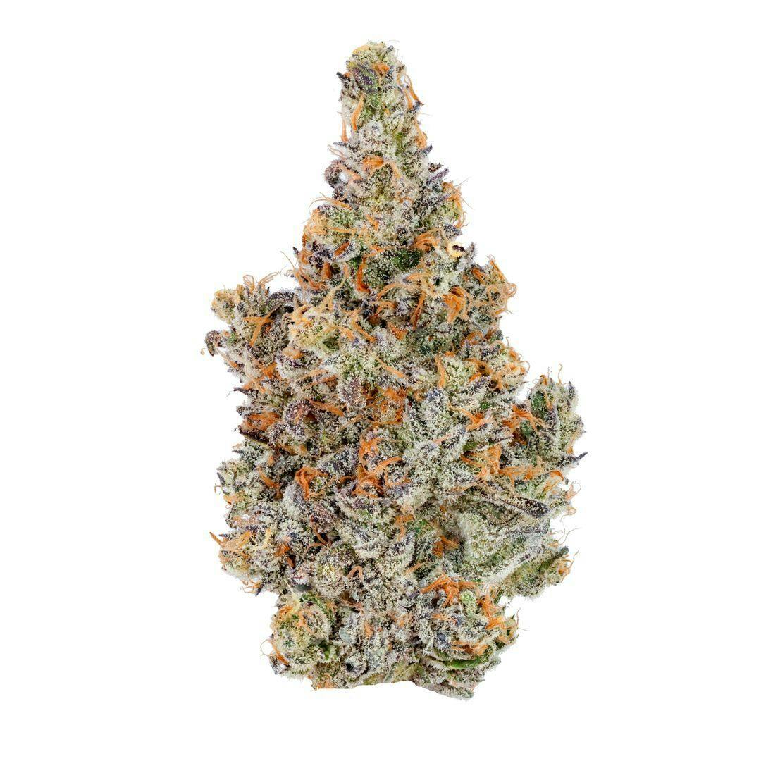 Fig Farms: Lucid Blue Boutique