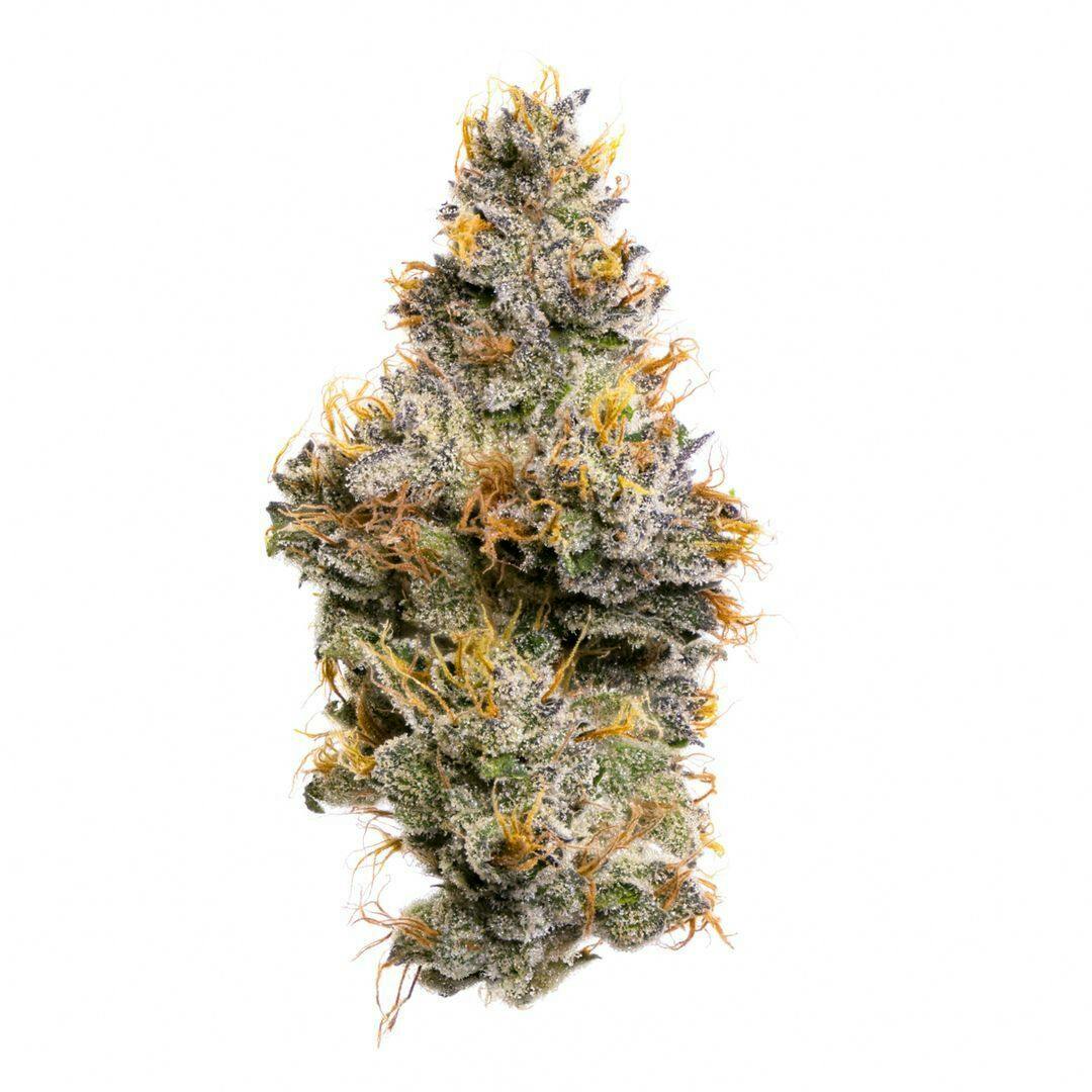 Fig Farms: Sherbanger Boutique