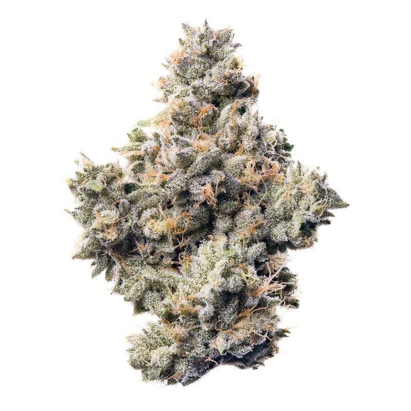 Fig Farms: Z-type-s Boutique