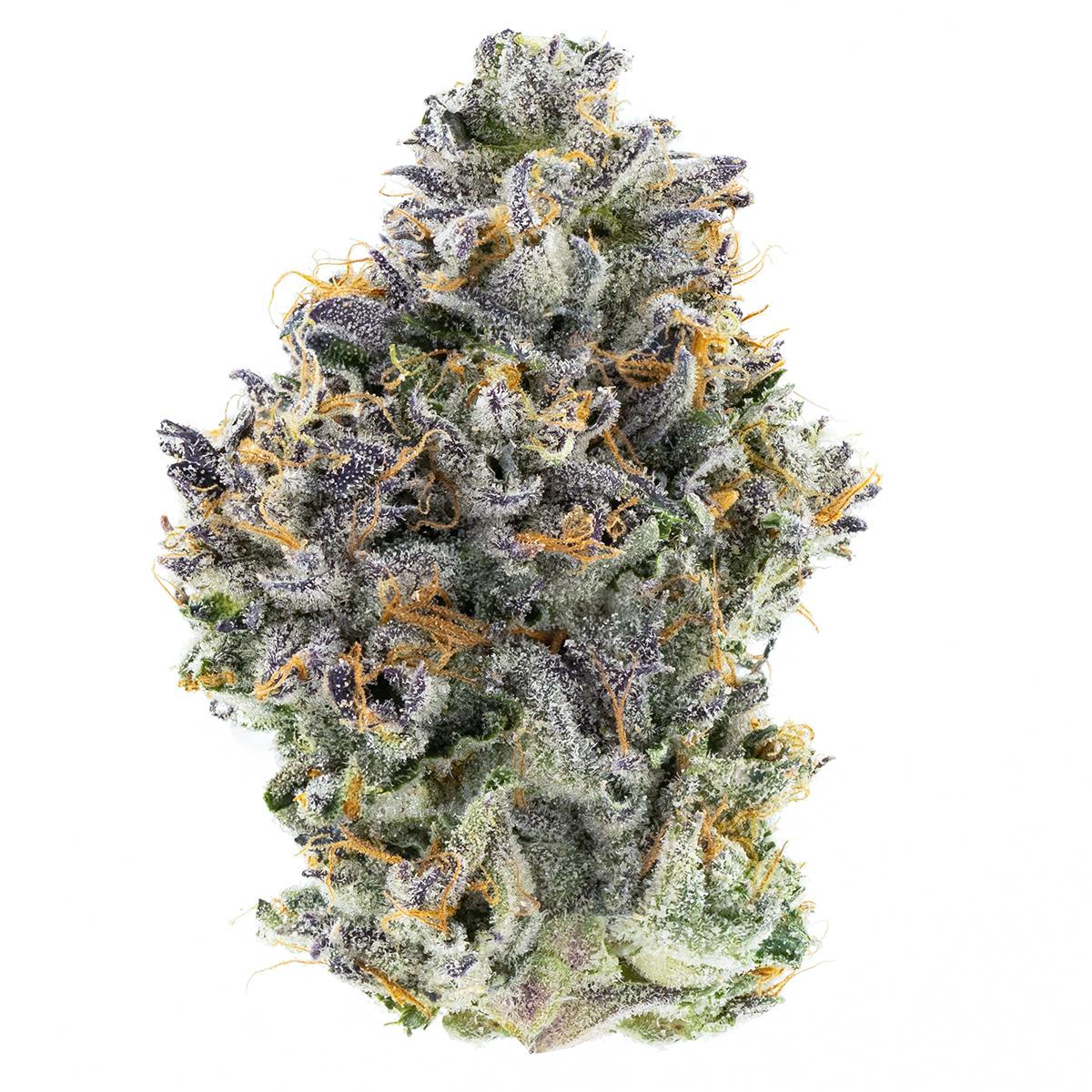 Fig Farms: Mad Dog 64 Boutique