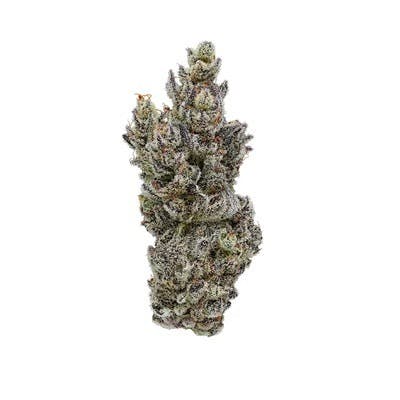 Fig Farms: Zodashi Boutique