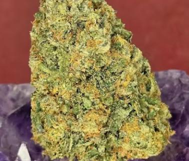 Zombie Cookies 3.5g (Pre Packaged Flower) By Voodoo Cannabis