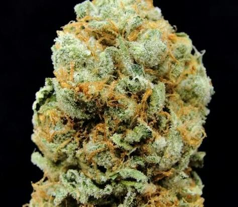 Honey Banana 1g (Pre Packaged Flower) By Voodoo
