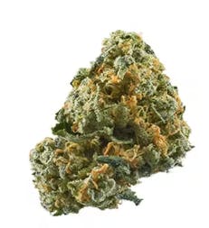 Maui Lobster 3.5g (Pre Packaged Flower) By Chronic Crops