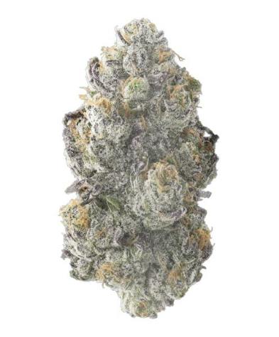 Shady Certz 1g (Pre Packaged Flower) By Chronic Crops