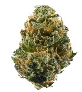 Space Cake Deli Flower By Tanana Herb Co