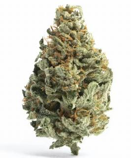 Tropical Runtz Deli Flower By Tanana Herb Co