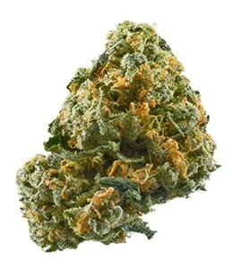 Maui Lobster 7g (Pre Packaged Flower) By Chronic Crops