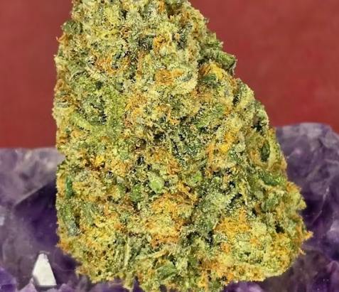 Zombie Cookies Deli Flower By Voodoo Cannabis