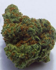 Castaway 7g (Pre Packaged Flower) By Denali Fire