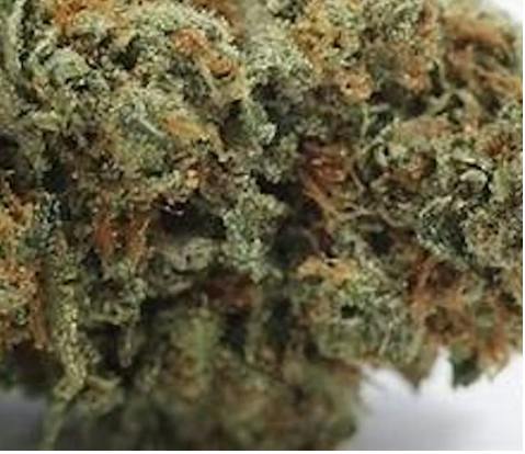 Orange Candy 3.5g (Pre Packaged Flower) By Voodoo Cannabis