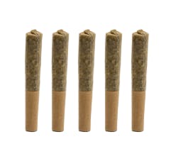 Zombie Cookies 0.3g Preroll (Flower) by Voodoo Cannabis at The High Country