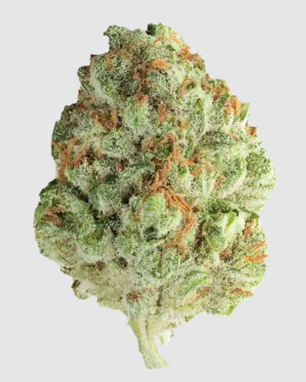 Lilac Diesel Deli Flower By Denali Fire