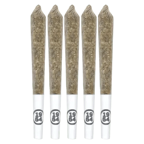 Comatose Pre-Roll 5x