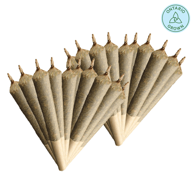 Indica 420 Pre-Roll 20x0.4g | Fire OG