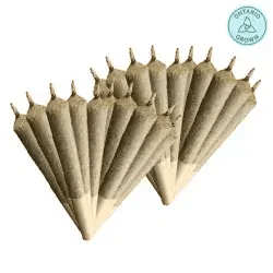 Sativa 420 Pre-Roll 20x0.4g | Lemonati