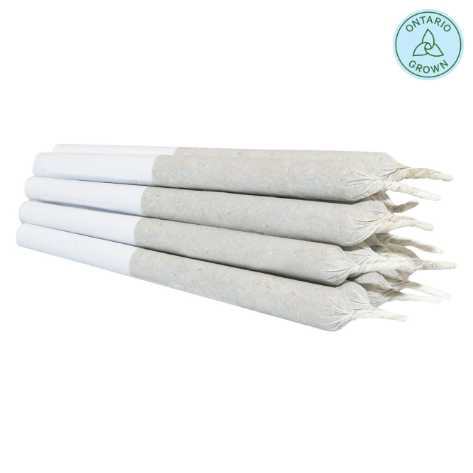 Jean Guy Pre-Roll 14x