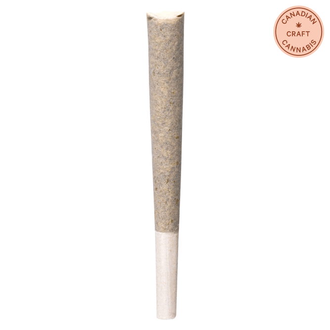 Jealousy Pre-Rolls 1x