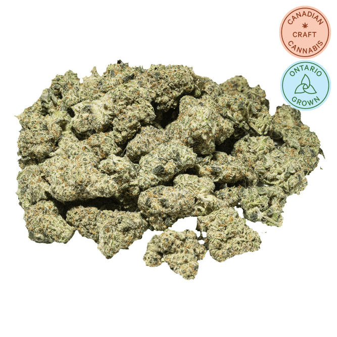 OZ 28g | GURT