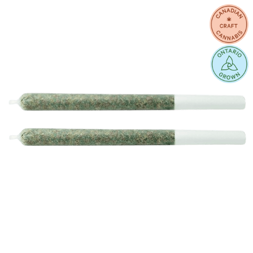Lavender Haze Pre-roll 2x