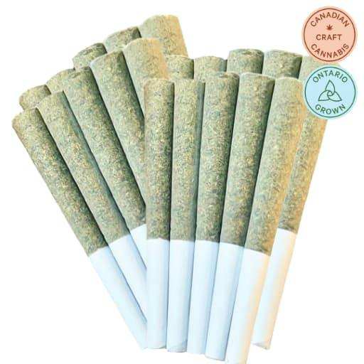Irie Rolls Pre-Roll 20x