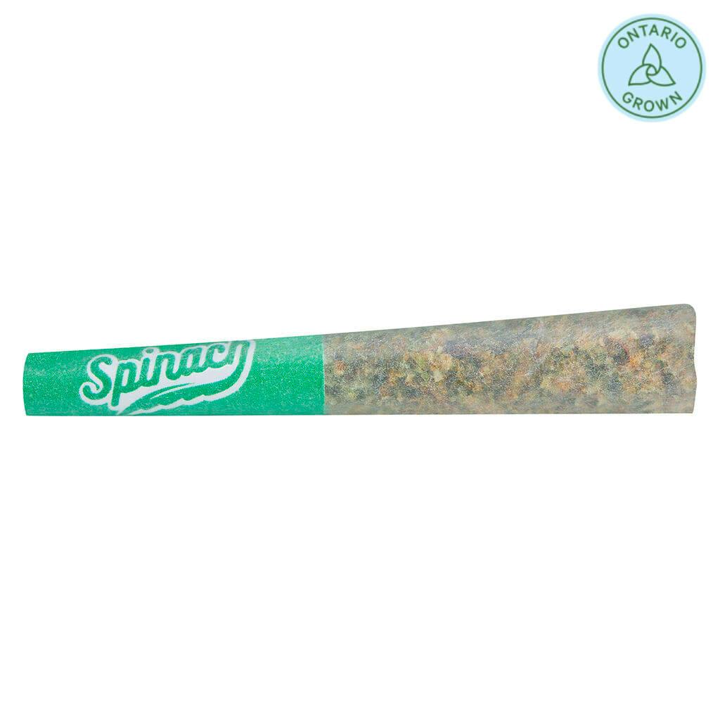 GMO Pre-Roll 1x