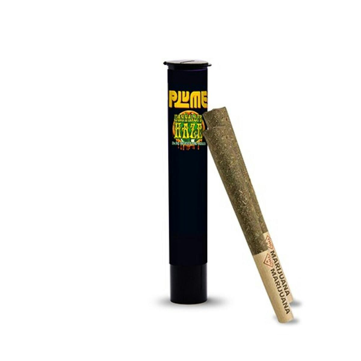 Cannalope Haze