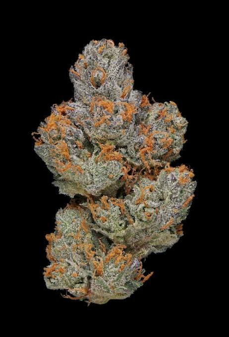 Clade 9 La Piff Big Bud 3.5g