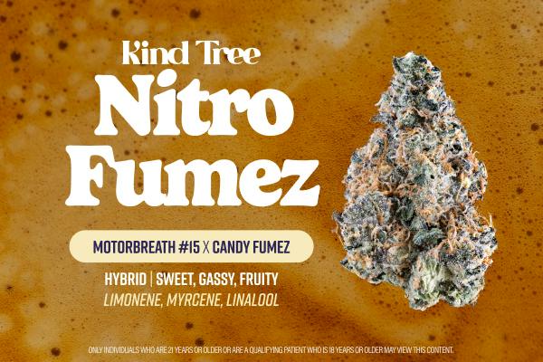 Kind Tree Nitro Fumez Big Bud 3.5g