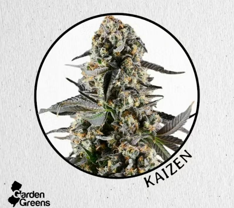 Garden Greens Kaizen Big Bud 3.5g cannabis product