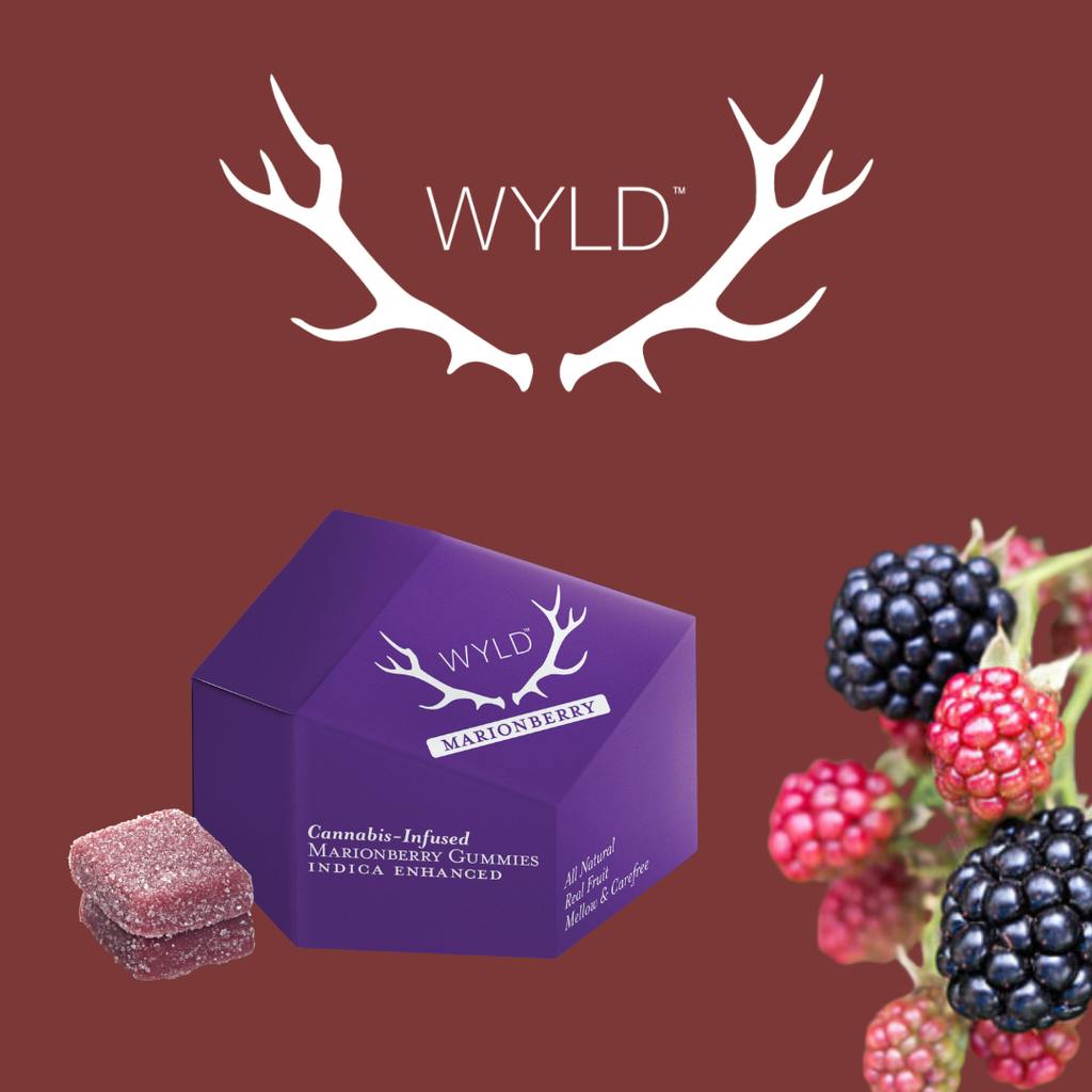 Wyld Marionberry 10 Pack 100mg cannabis product