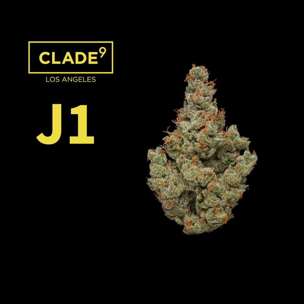 Clade 9 J1 Big Bud 3.5g