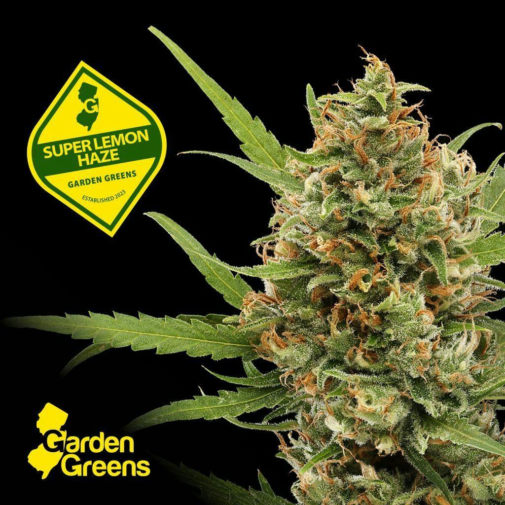 Garden Greens Super Lemon Haze Big Bud 3.5g