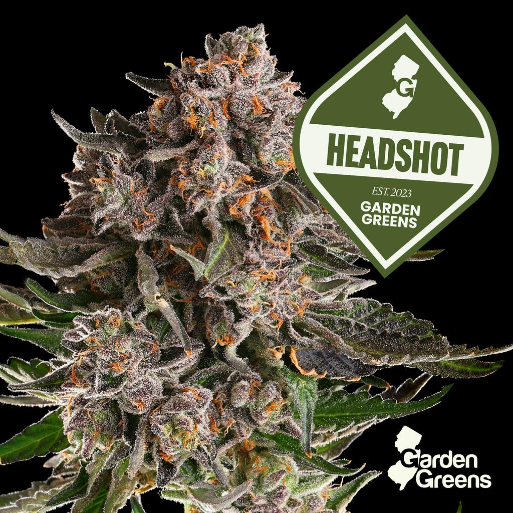 Garden Greens Headshot Big Bud 3.5g