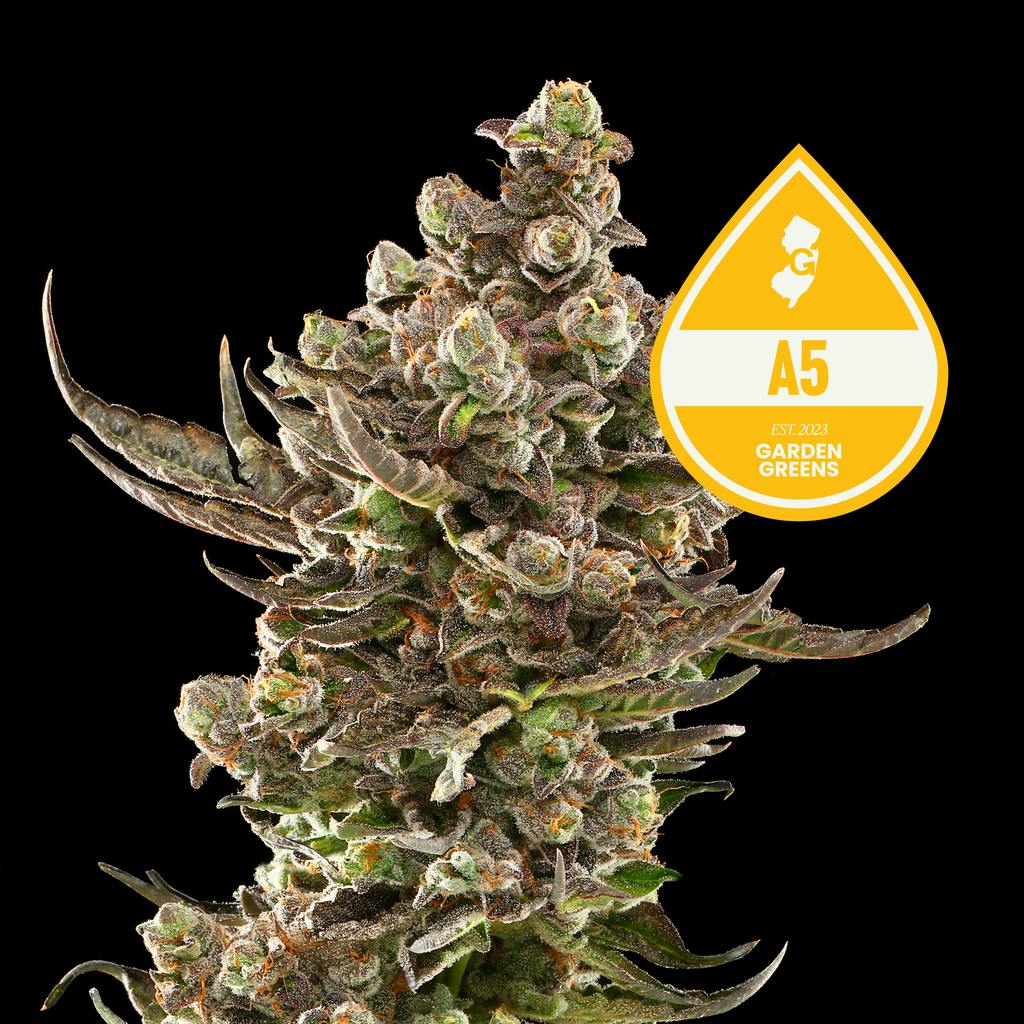 Garden Greens A5 Big Bud 3.5g