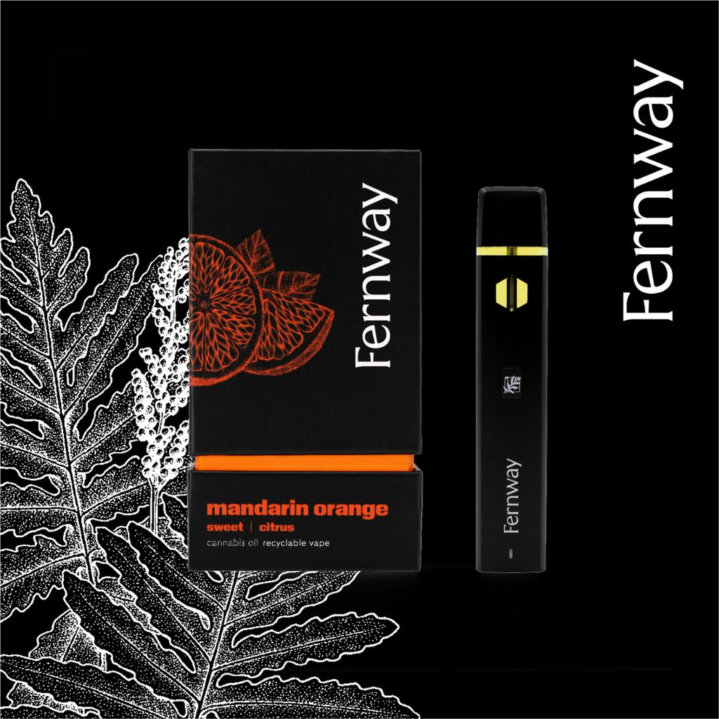 Fernway Mandarin Orange Disposable (S) Disposable 2g