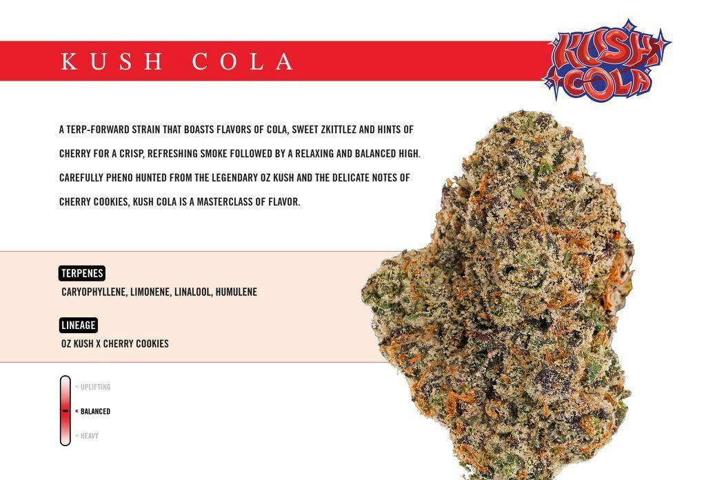Wonderbrett Kush Cola Big Bud 3.5g