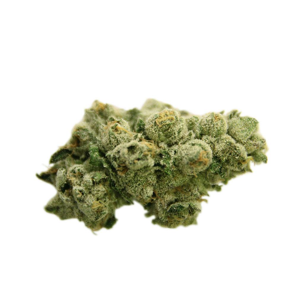CELEBRITY - Dirk Jiggler - 3.5g