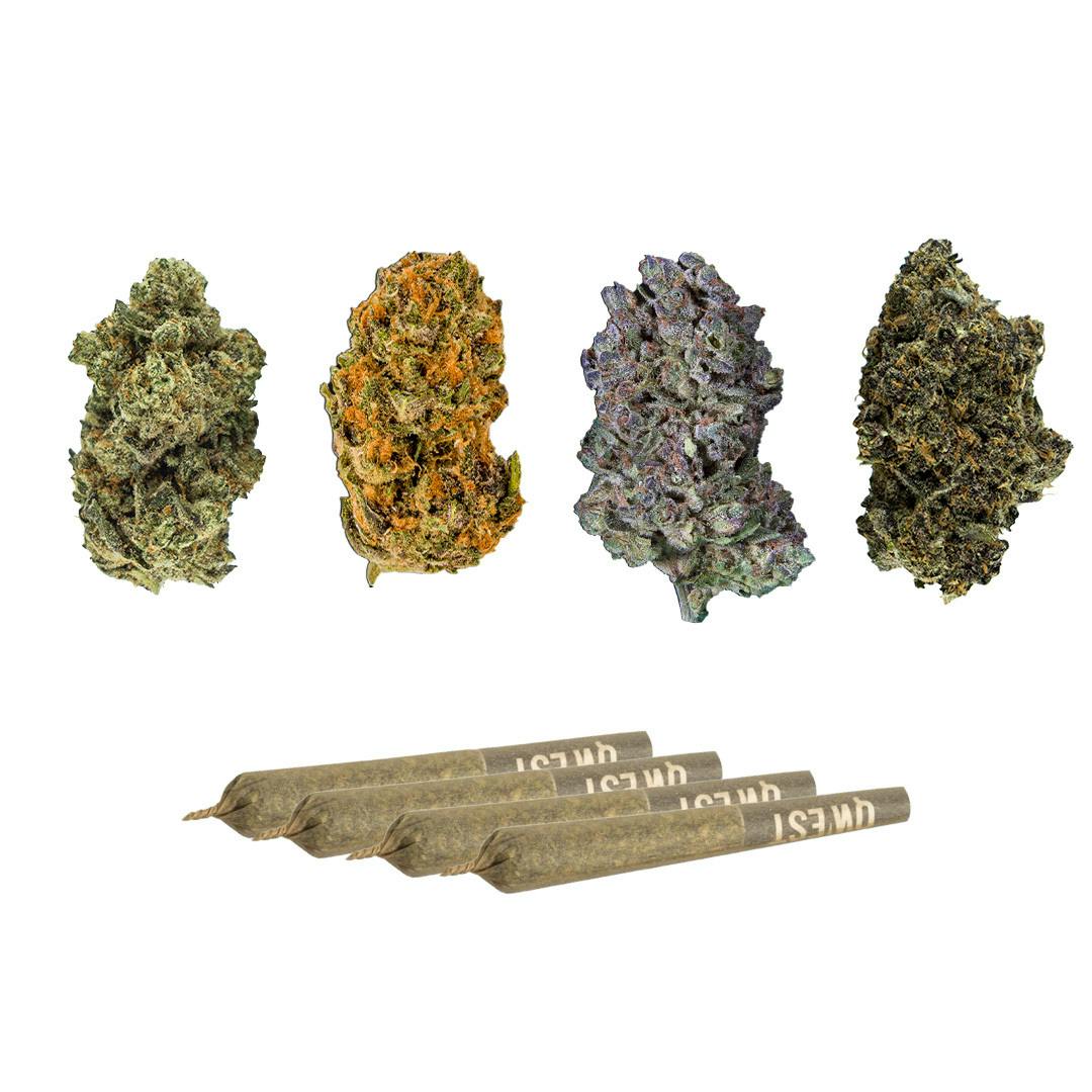 Qwest - Collective Variety Pack - 8g