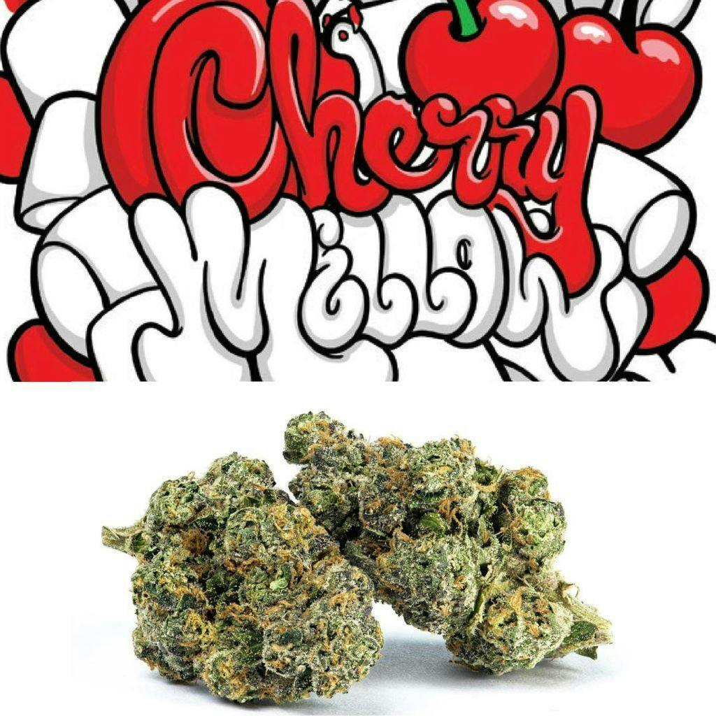 Cookies CherryMellow 3.5g Flower
