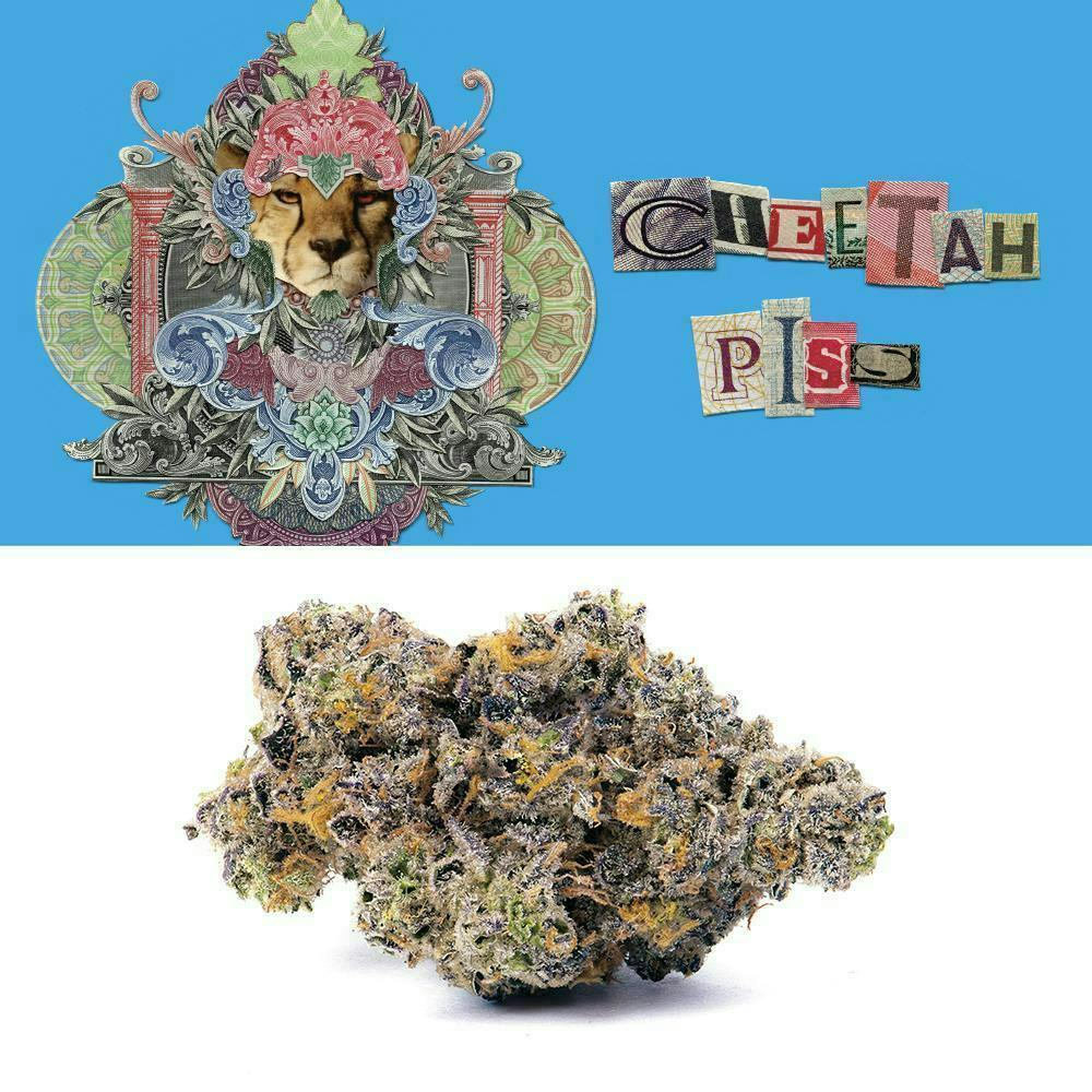 Cookies Cheetah Piss 7g Smalls
